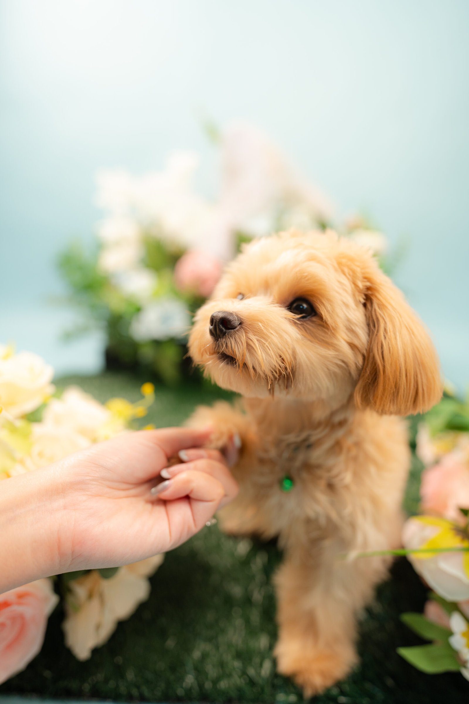 Bentley'sPhotoshoot-023